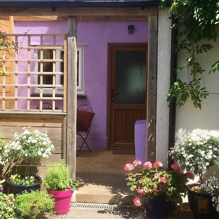 Cute Self-Contained Guest Room With Ensuite And Private Decked Porch In Glastonbury Zewnętrze zdjęcie