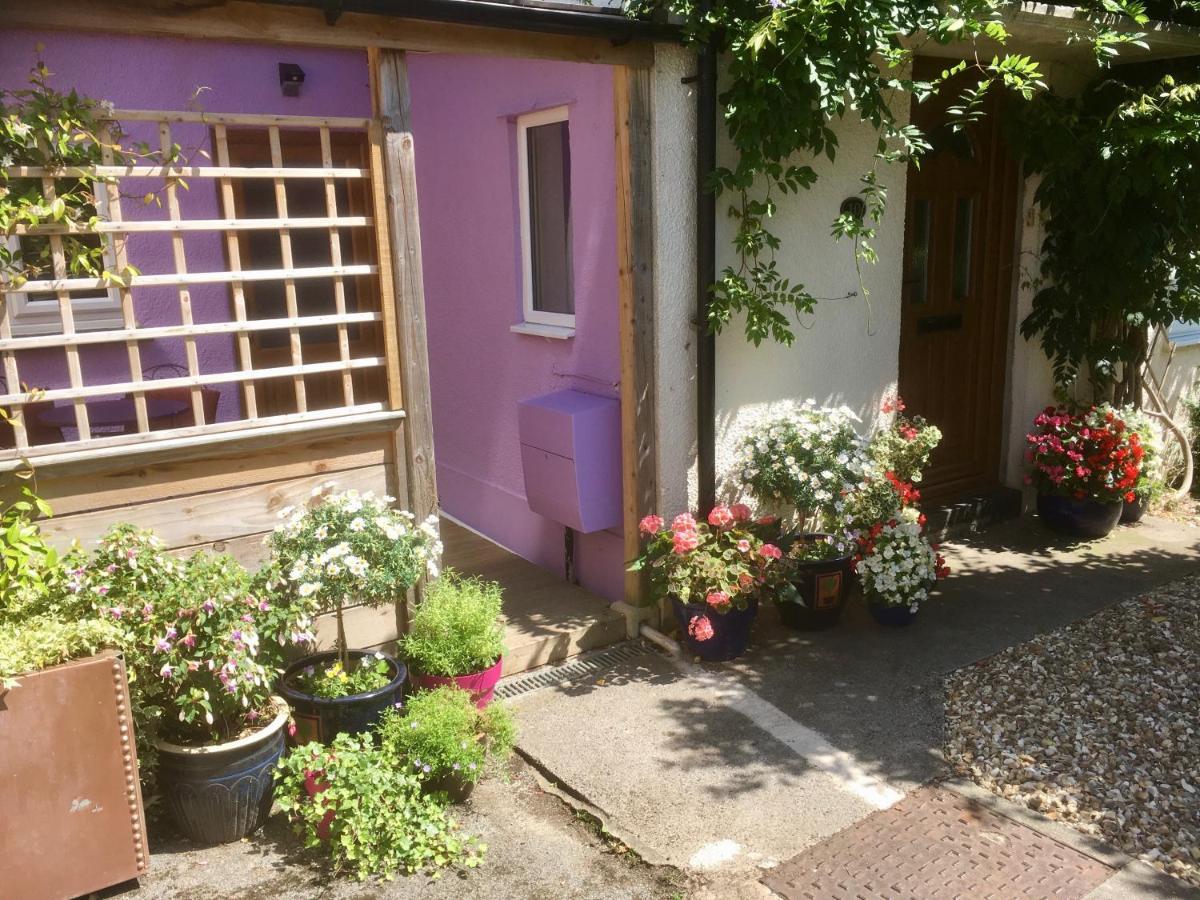 Cute Self-Contained Guest Room With Ensuite And Private Decked Porch In Glastonbury Zewnętrze zdjęcie